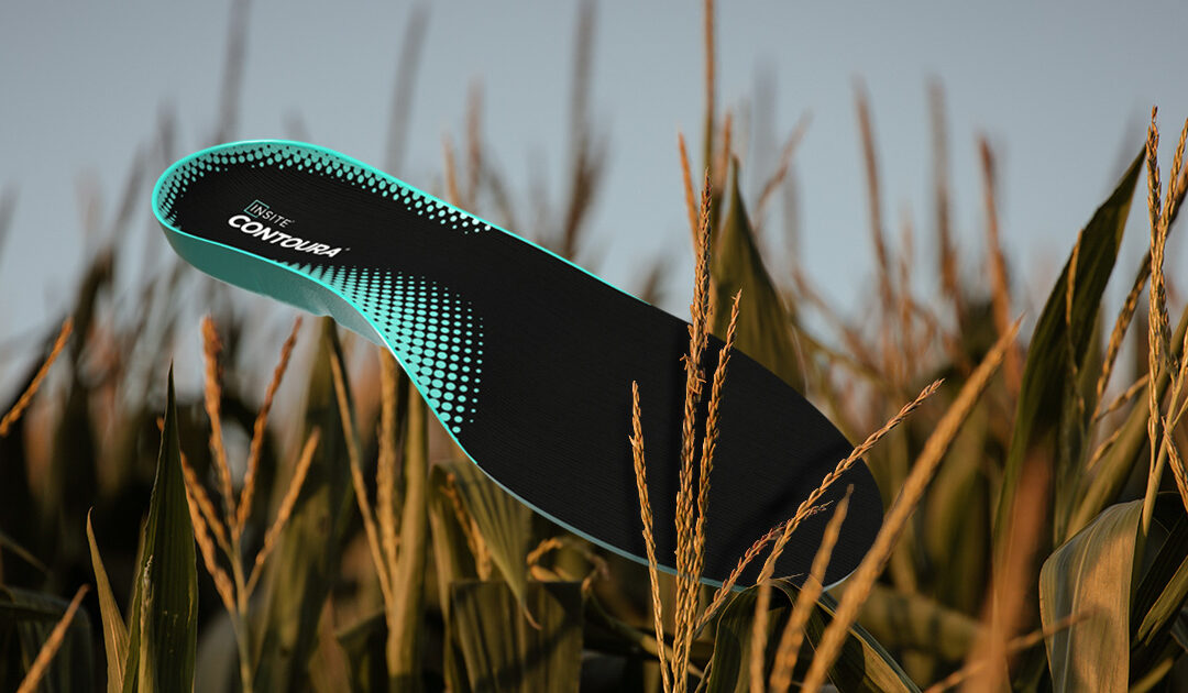 Insole made with dent corn