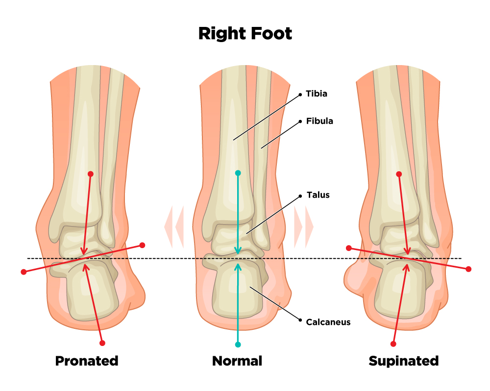 Pronation Diagram